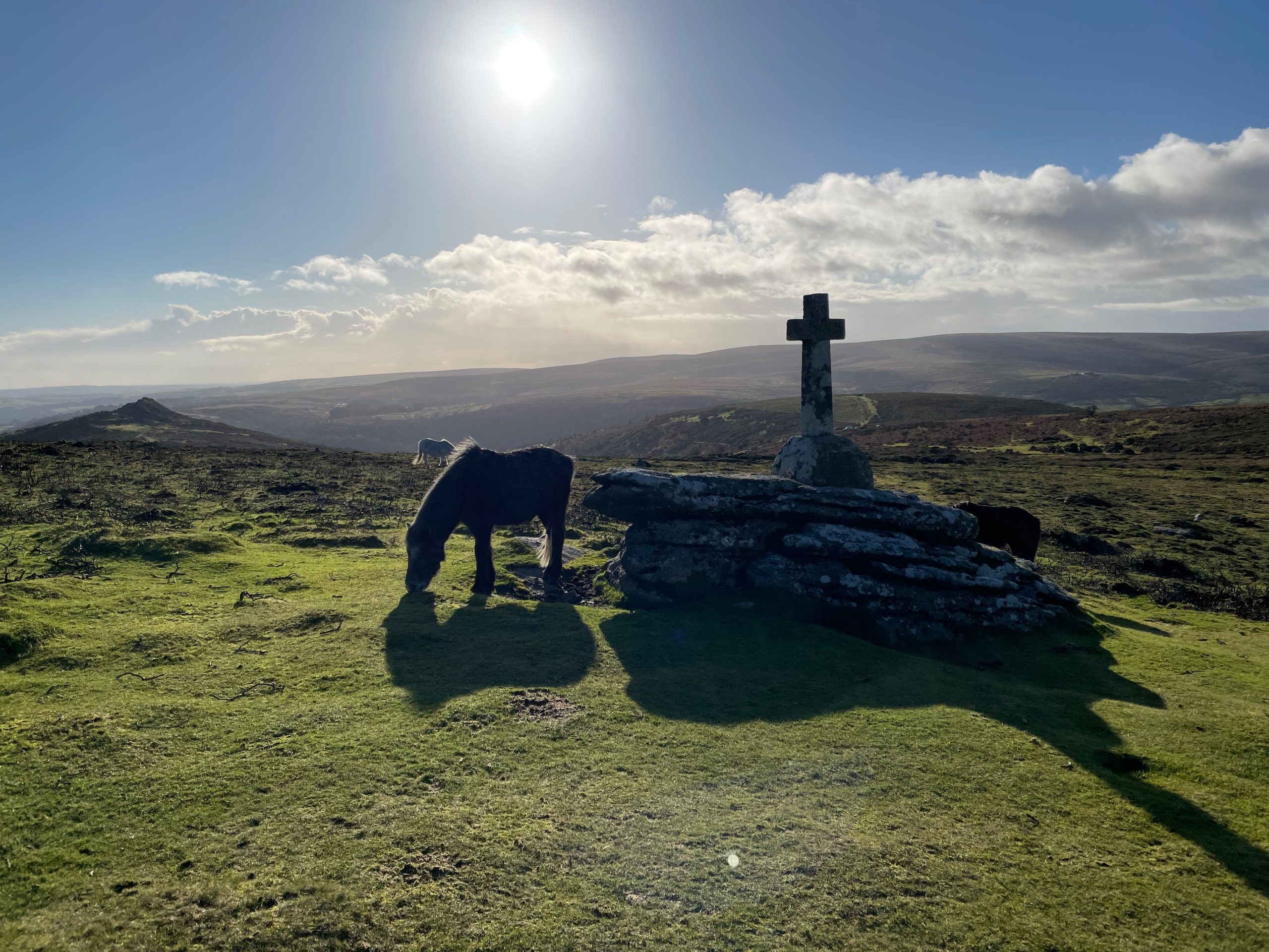 Widecombe World War Two