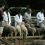 Widecombe Fair 2000