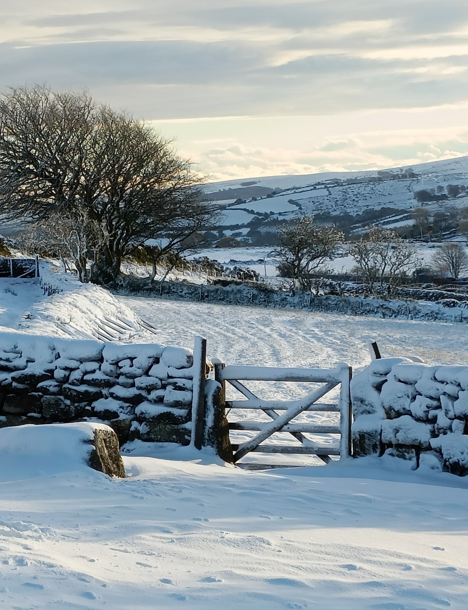 Parish Link Cover February 2026