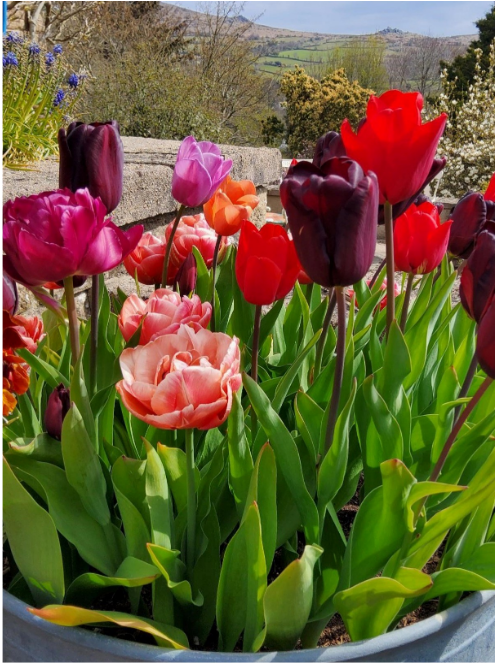 Parish Link for April 2026 now Available